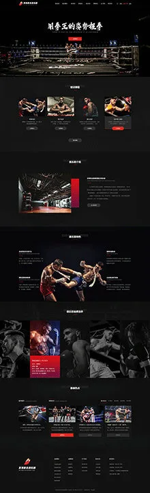 SaaS智能建站範本插图73